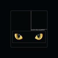 Black Hole Quartet