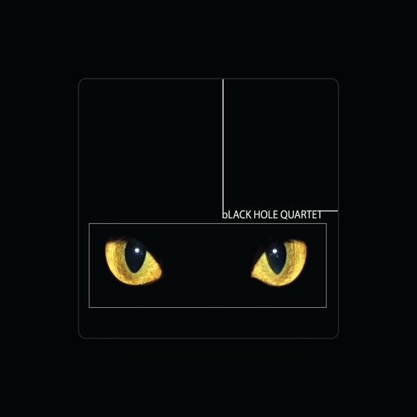 Black Hole Quartet