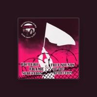 True Sounds Of The Revolution