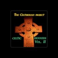 The Celtiberian Project