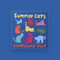 Summer Cats