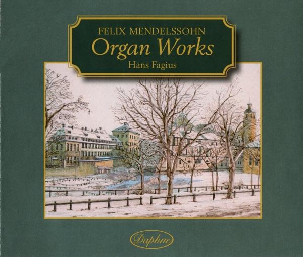 Organ Sonata in D minor, Op. 65, No. 6: III. Finale: Andante