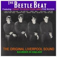 Teddy 'Boy Stomp