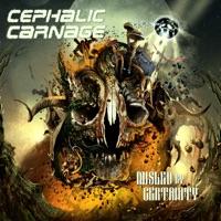 Grindcore Blastbeat Blues
