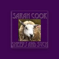 Sarah Cook