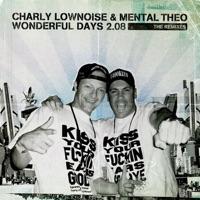 Wonderful Days 2.08 (Original Mix)