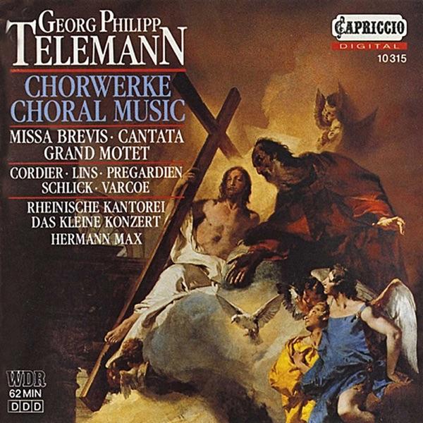 Deus judicium tuum, TWV 7:7: Coram illo procident Aethiopes (Bass, Soprano)