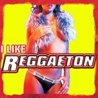 Funky Friday Night (Raggamix)