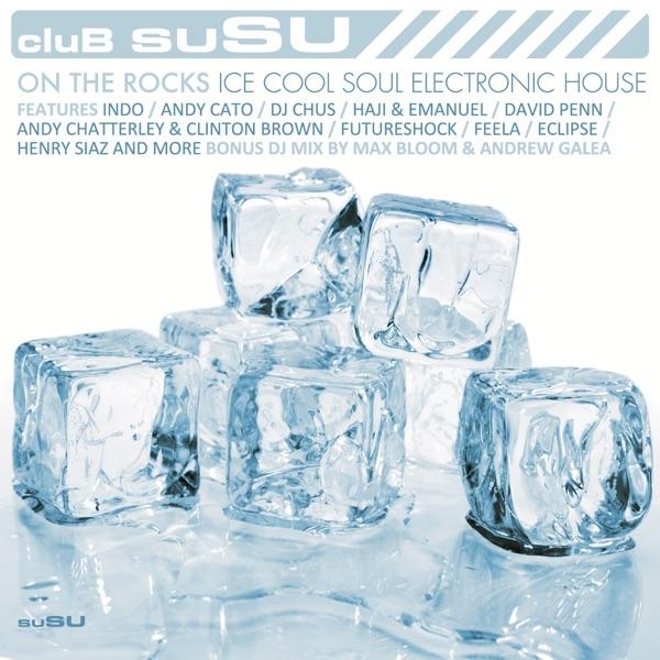 U Turn Me (Urban Groove 21st Century Dub) (feat. Leee John)