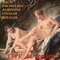 Concerto VIII In D Min RV 127,Concerti Di Parigi III. Allegro