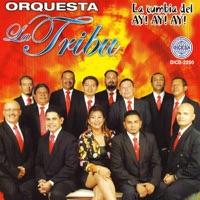 Regresa a Mi