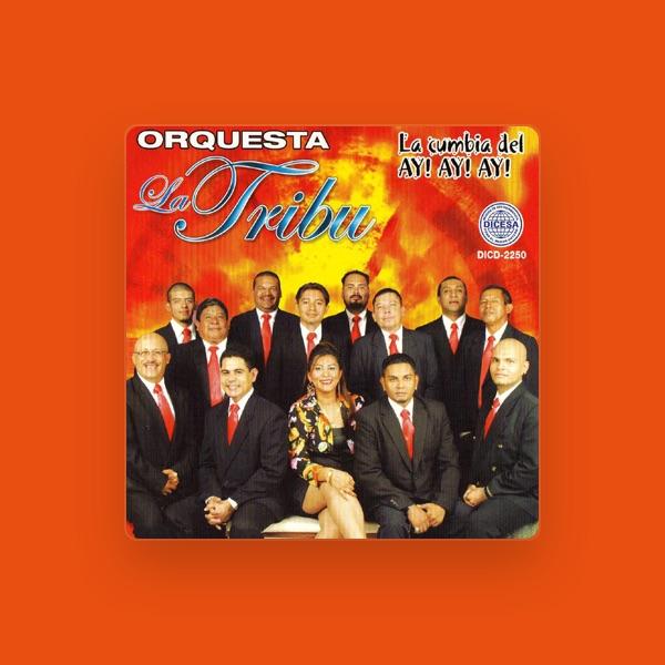 Orquesta La Tribu