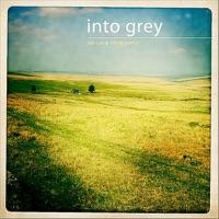 Into Grey (Feat. Carrie Martin)