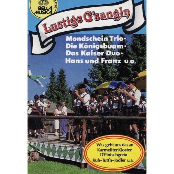 Lustige G'sangln