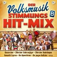 Zillertaler Musikanten-Polka Medley (Folge 1):Nimm dir Zeit für Fröhlichkeit / I komm heut Nacht auf a Bussel zu dir / Wir kommen von den Bergen / Bergvagabunden / Heut will i lustig sein / Ohne Musig geht nix