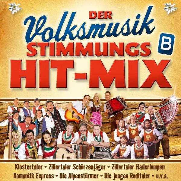 Zillertaler Musikanten-Polka Medley (Folge 1):Nimm dir Zeit für Fröhlichkeit / I komm heut Nacht auf a Bussel zu dir / Wir kommen von den Bergen / Bergvagabunden / Heut will i lustig sein / Ohne Musig geht nix