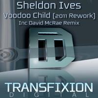 Voodoo Child (David McRae Remix)