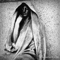 Memory of Touch, from Stillness
