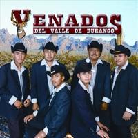 Corazón de Tejas
