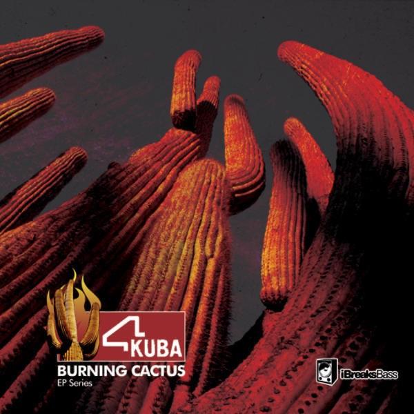 Rock Your Floor (Original Mix)