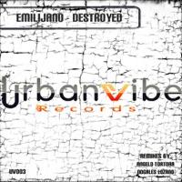 Destroyed (Nogales Lozano Remix)