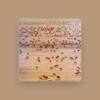 Kittyhawk