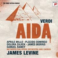 Aida - Opera in Four Acts: Se quel querrier io fossi!..Celeste Aida