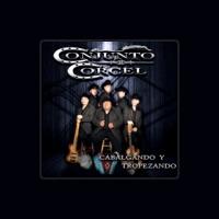 Conjunto Corcel