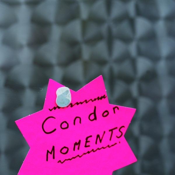 Counterpoint Study