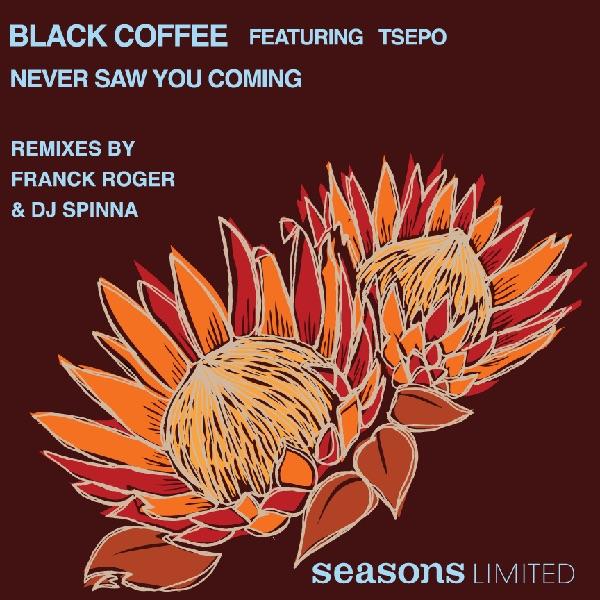 Never Saw You Coming (Franck Roger Vocal Mix)