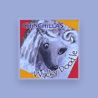 Chinchillas