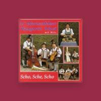 D'Werdenfelser Hoagartn Musi