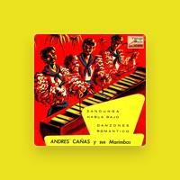 Andrés Cañas
