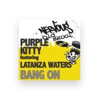 Purple Kitty