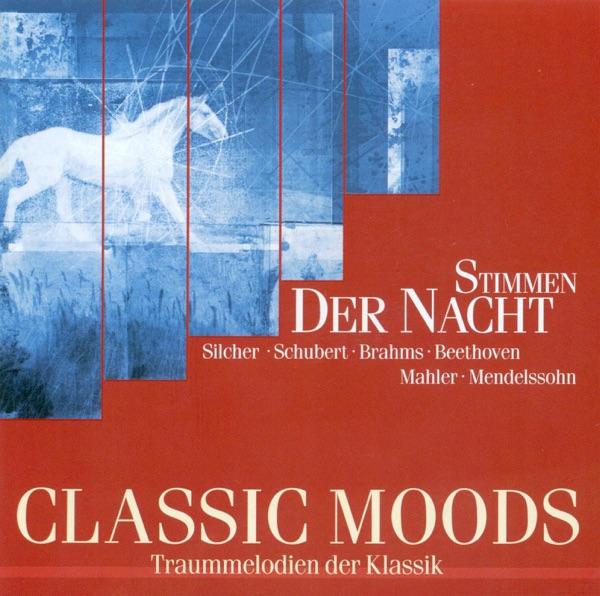 In stiller Nacht