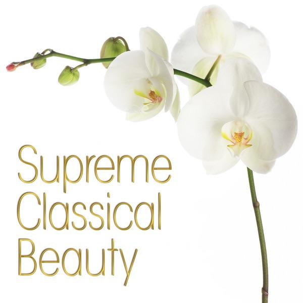Suite for Orchestra No. 3 In D Major, BWV 1068: II. Air