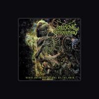 Embryonic Devourment