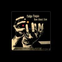Fudge Fingas