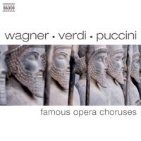 Lohengrin: Bridal Chorus, "Just Married"
