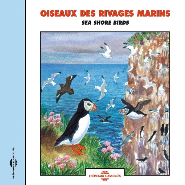 Cory's Shearwater
