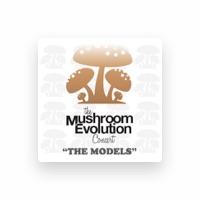 The Models