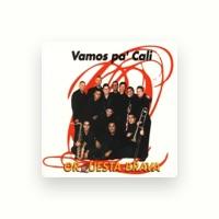 Orquesta Brava