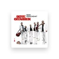Rote Gitarren