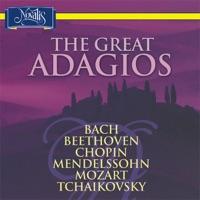 Sinfonia Concertante for Violin, Viola and Orchestra In E-Flat Major, K. 364: II. Andante