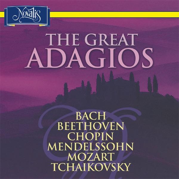 Sinfonia Concertante for Violin, Viola and Orchestra In E-Flat Major, K. 364: II. Andante