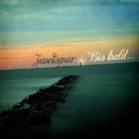 Bis bald... (Album Edit)