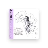 Avoice