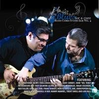Too Late (feat. Jonn Richardson, Sean Carney, Abdell B Bop, Jan Roll & John Popovich)