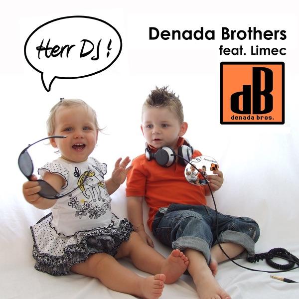 Herr DJ (Radio Edit) [feat. Limec]