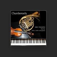 Chamberosity